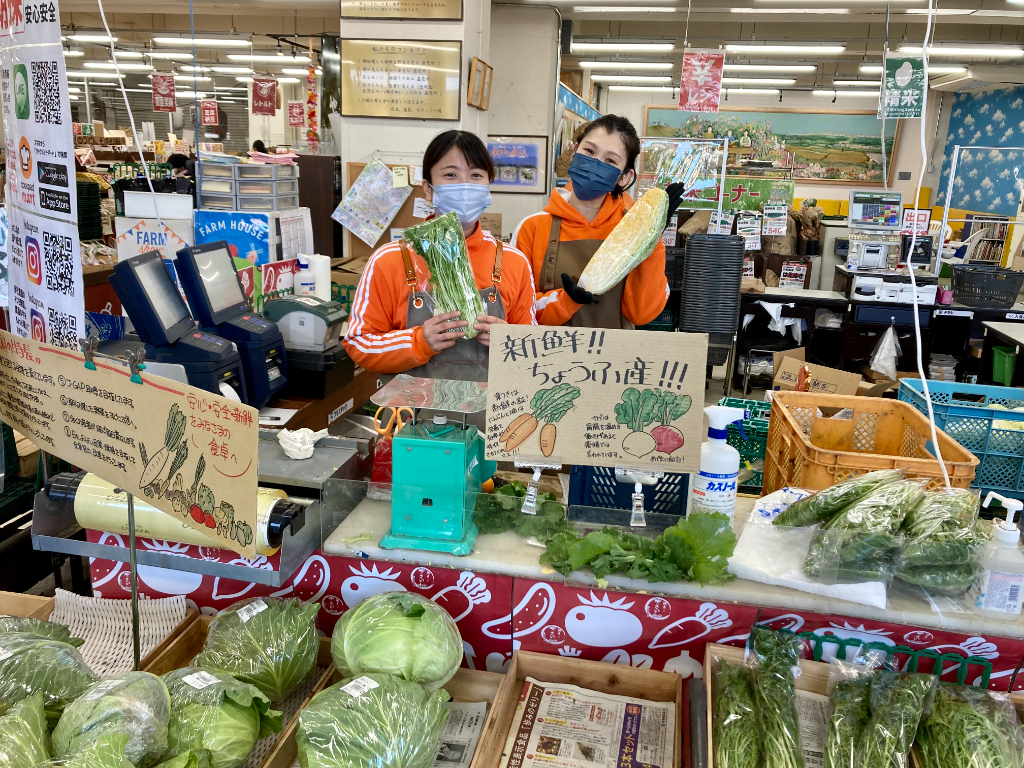 https://99mdm3.media.saiyo-job.jp/contents/data/8048a8b3-54bd-4fa8-919c-d052993e9a8e